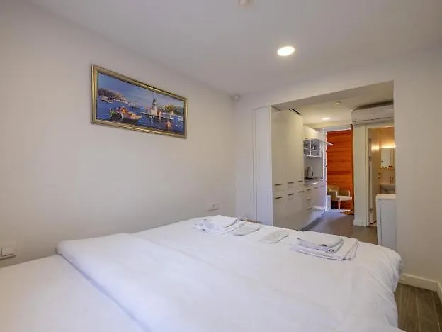 Hagia Sophia Hotels Istanbul 0*,